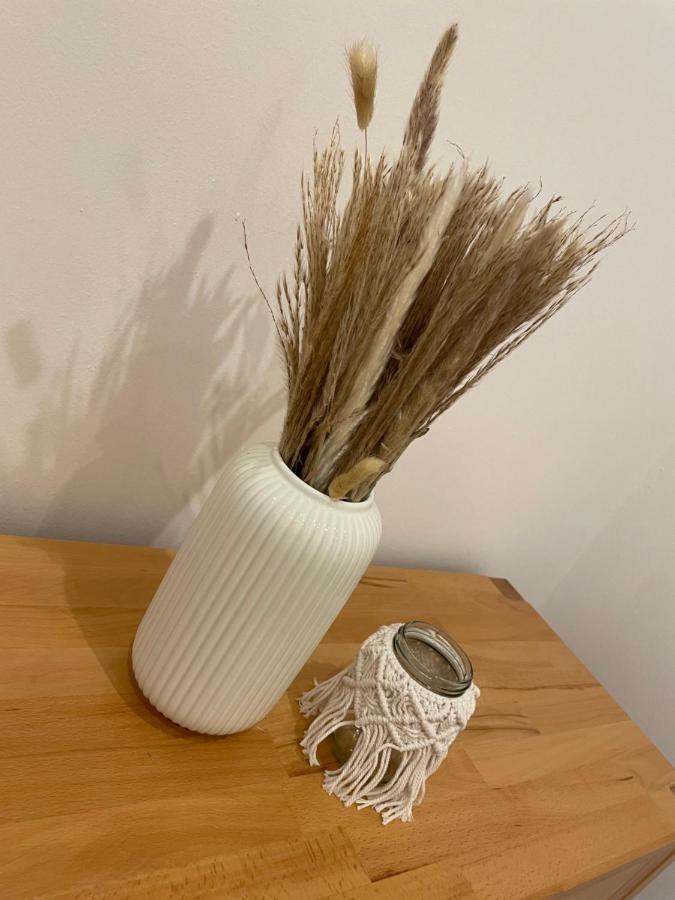 Ferienwohnung Im Boho Stil Naehe Salzburg 프라일라싱 외부 사진
